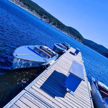 Waschbaer Hoehle Mit Pool Und Balkon Schluchsee