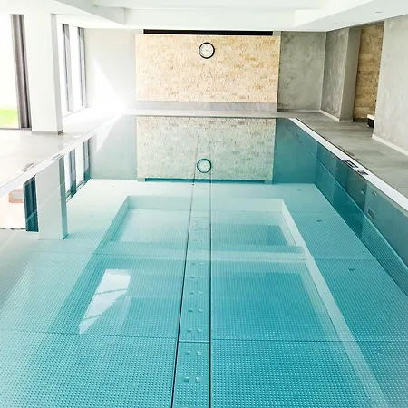 Waschbaer Hoehle Mit Pool Und Balkon *