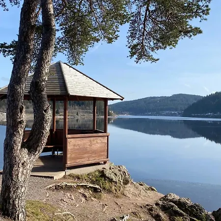 Waschbaer Hoehle Mit Pool Und Balkon *
